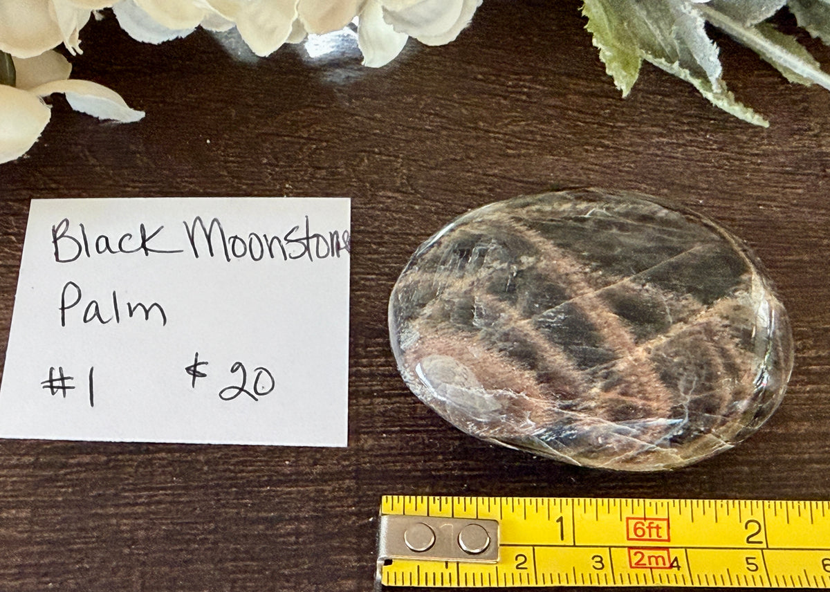 Black Moonstone Palm #1