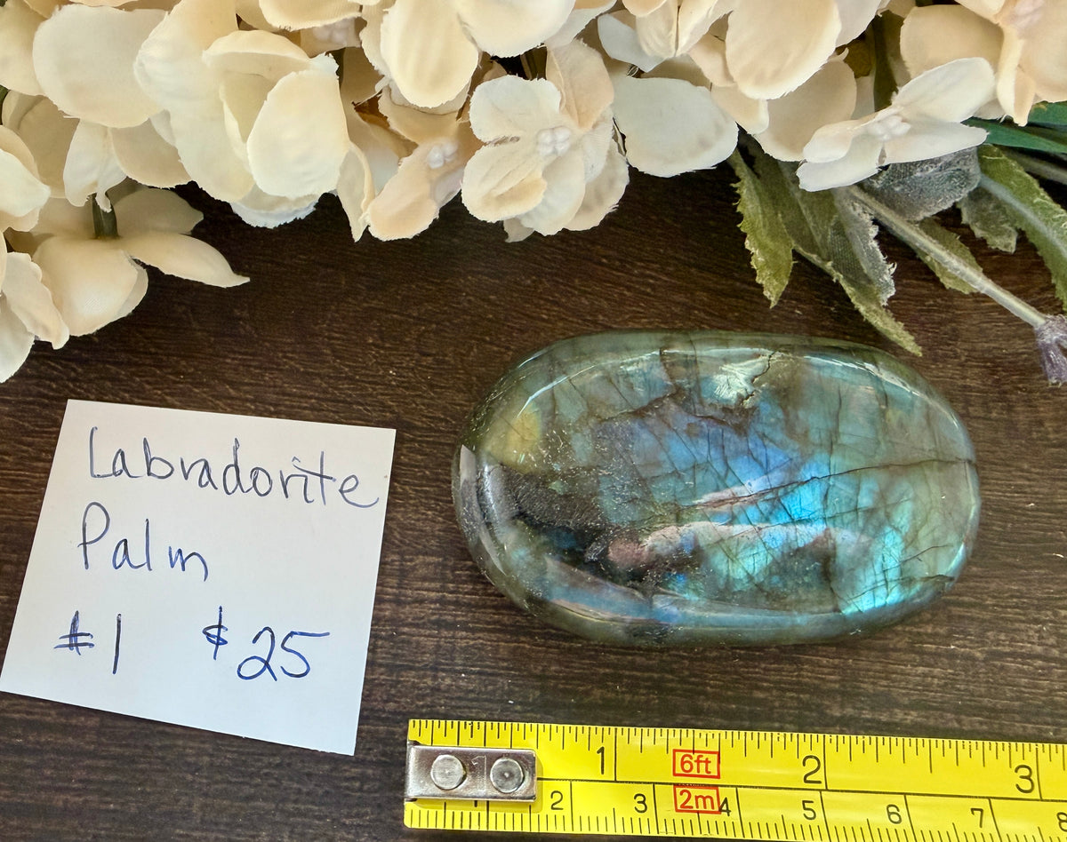 Labradorite Palm #1