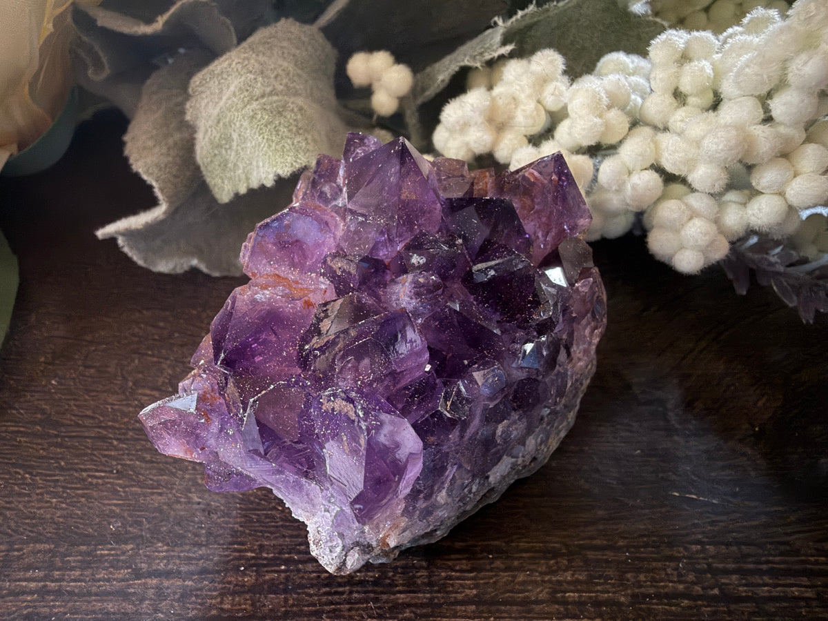 Amethyst Cluster #5