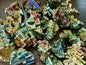 Bismuth Small Raw Stones