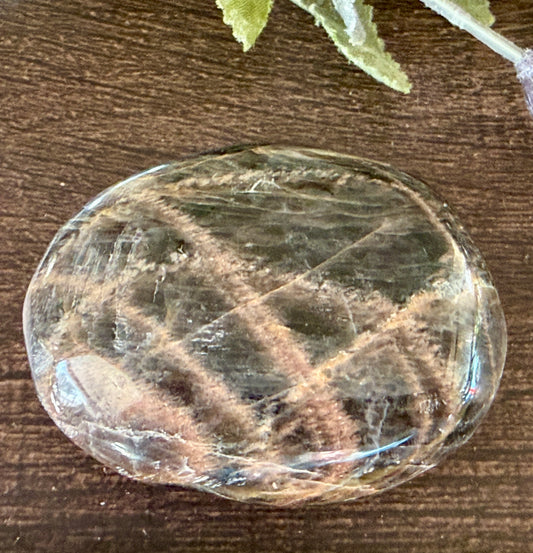 Black Moonstone Palm #1