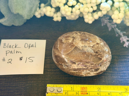 Black Opal Palm #2