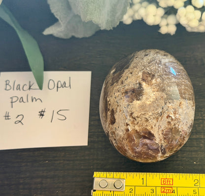 Black Opal Palm #2