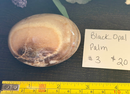 Black Opal Palm #3
