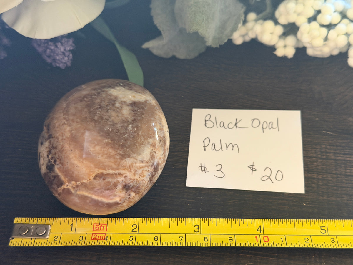 Black Opal Palm #3
