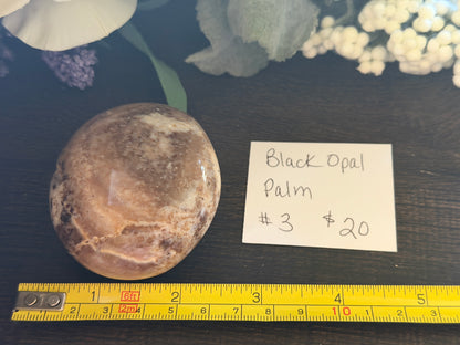 Black Opal Palm #3