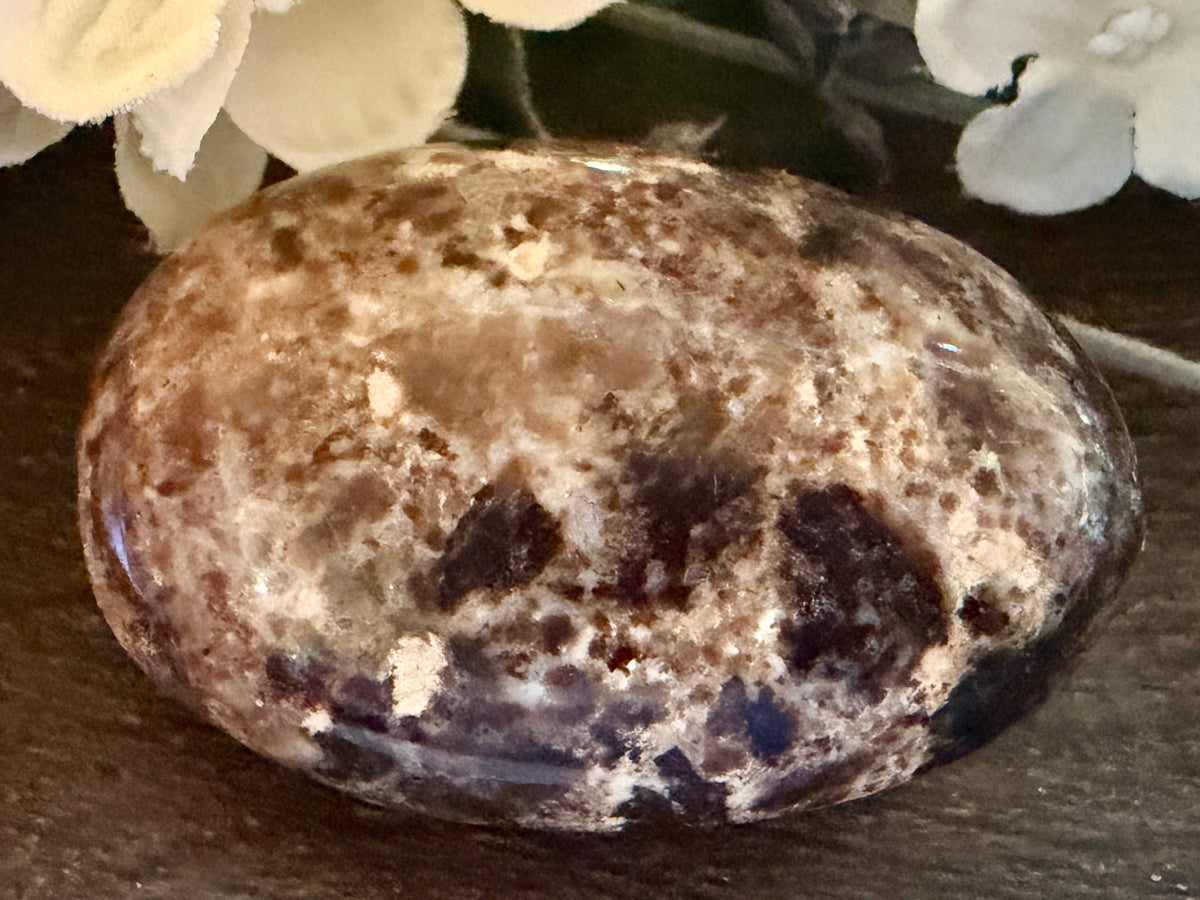 Black Opal Palm #1