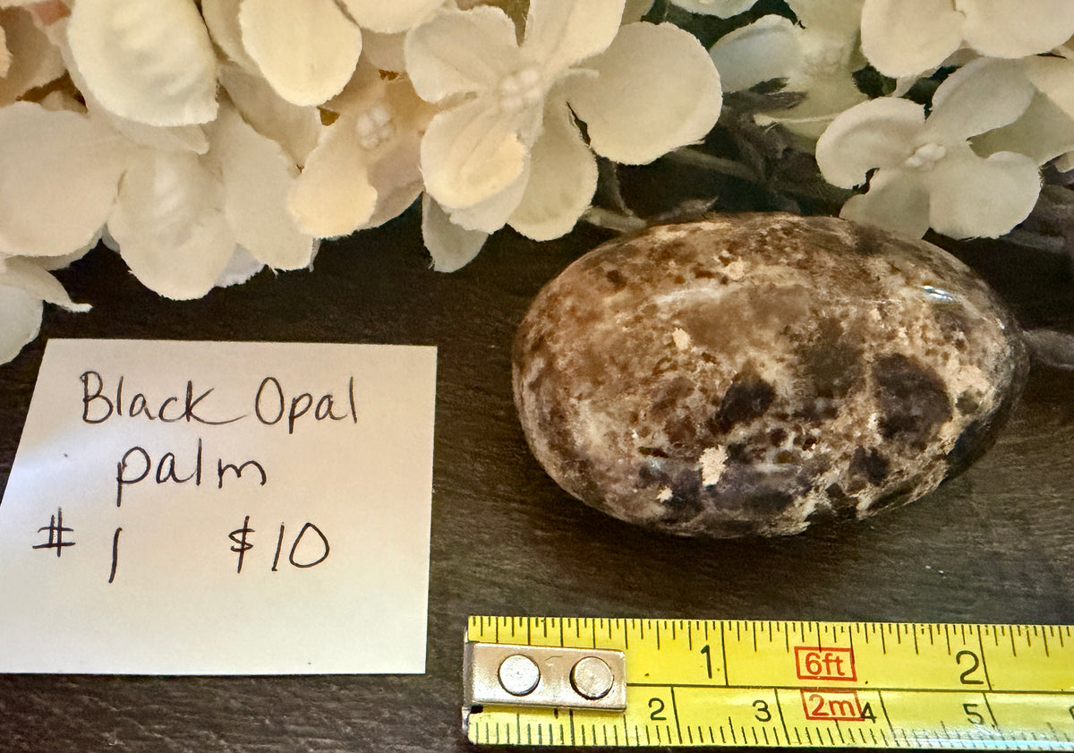 Black Opal Palm #1
