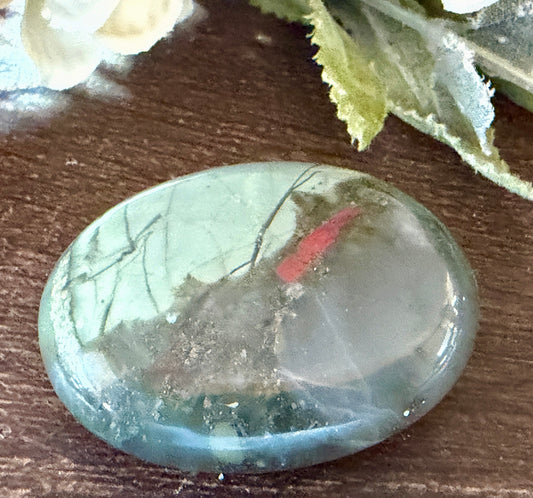 Bloodstone Jasper Palm #1