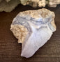 Blue Chalcedony #1