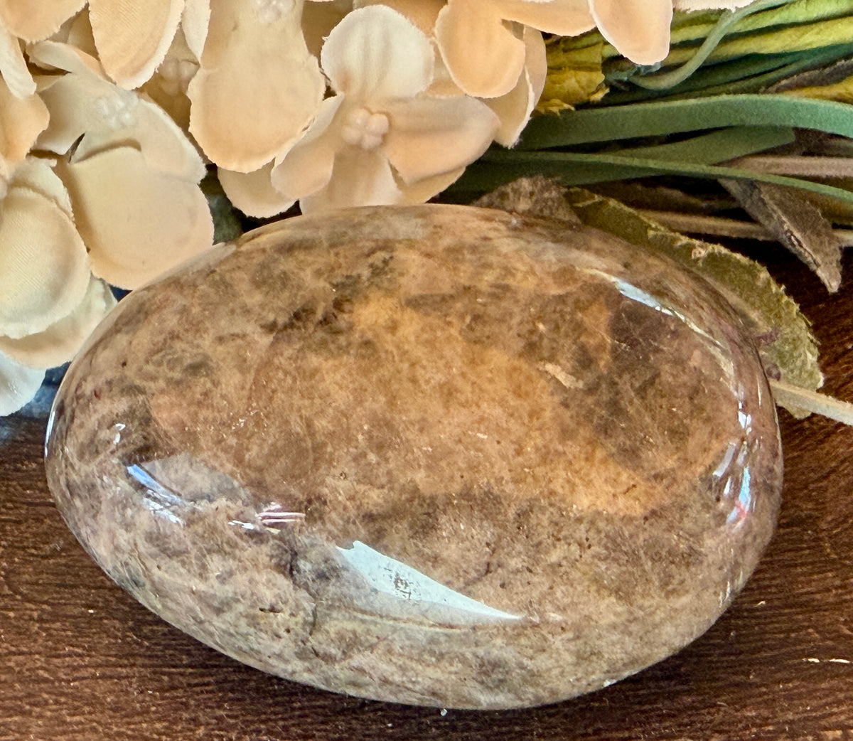 Gray Moonstone Palm #2