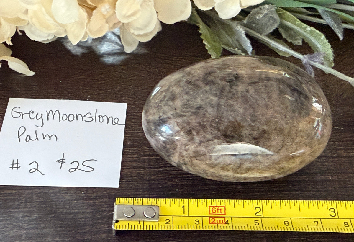 Gray Moonstone Palm #2