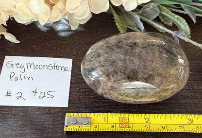 Gray Moonstone Palm #2