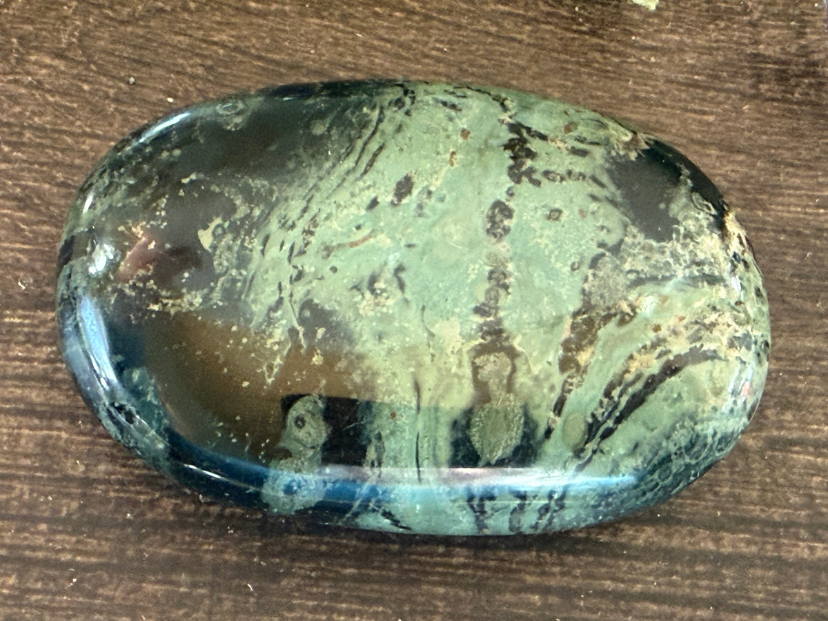 Kambaba Jasper Palm #1