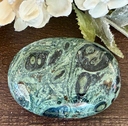 Kambaba Jasper Palm #2