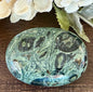 Kambaba Jasper Palm #2