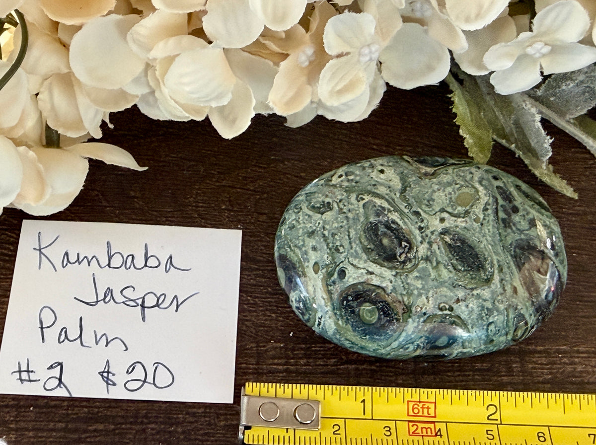 Kambaba Jasper Palm #2