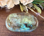 Labradorite Palm #1