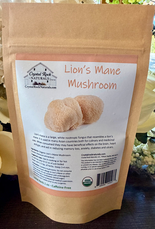 Lion's Mane Mushroom Powder 1oz Organic