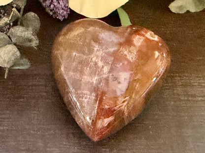 Petrified Wood Heart #1