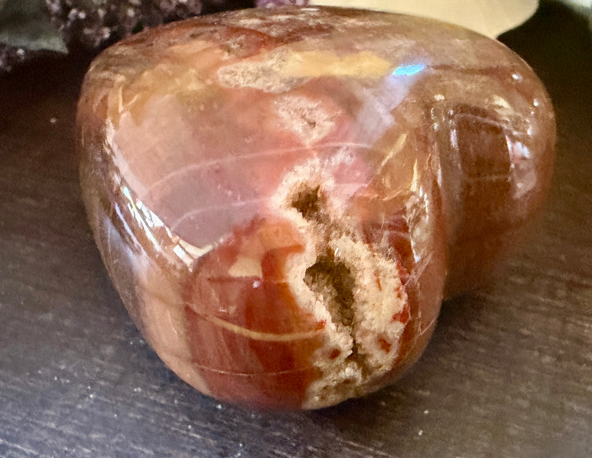 Petrified Wood Heart #1