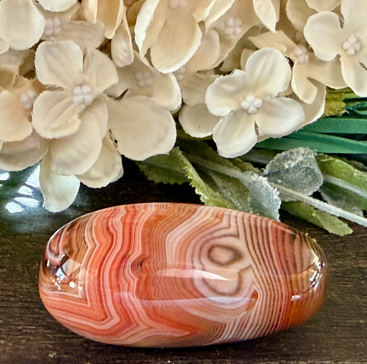 Sardonyx Agate Palm #3