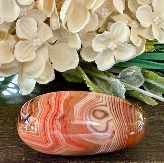 Sardonyx Agate Palm #3