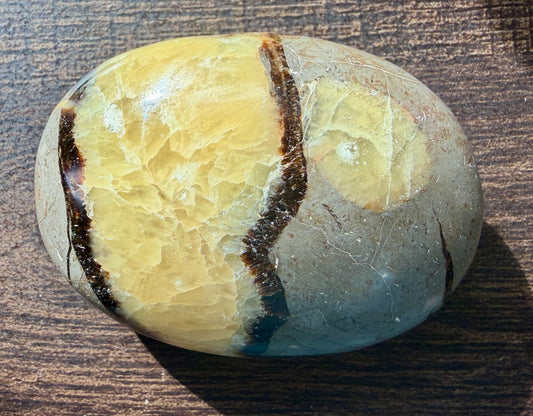 Septarian Palm #1