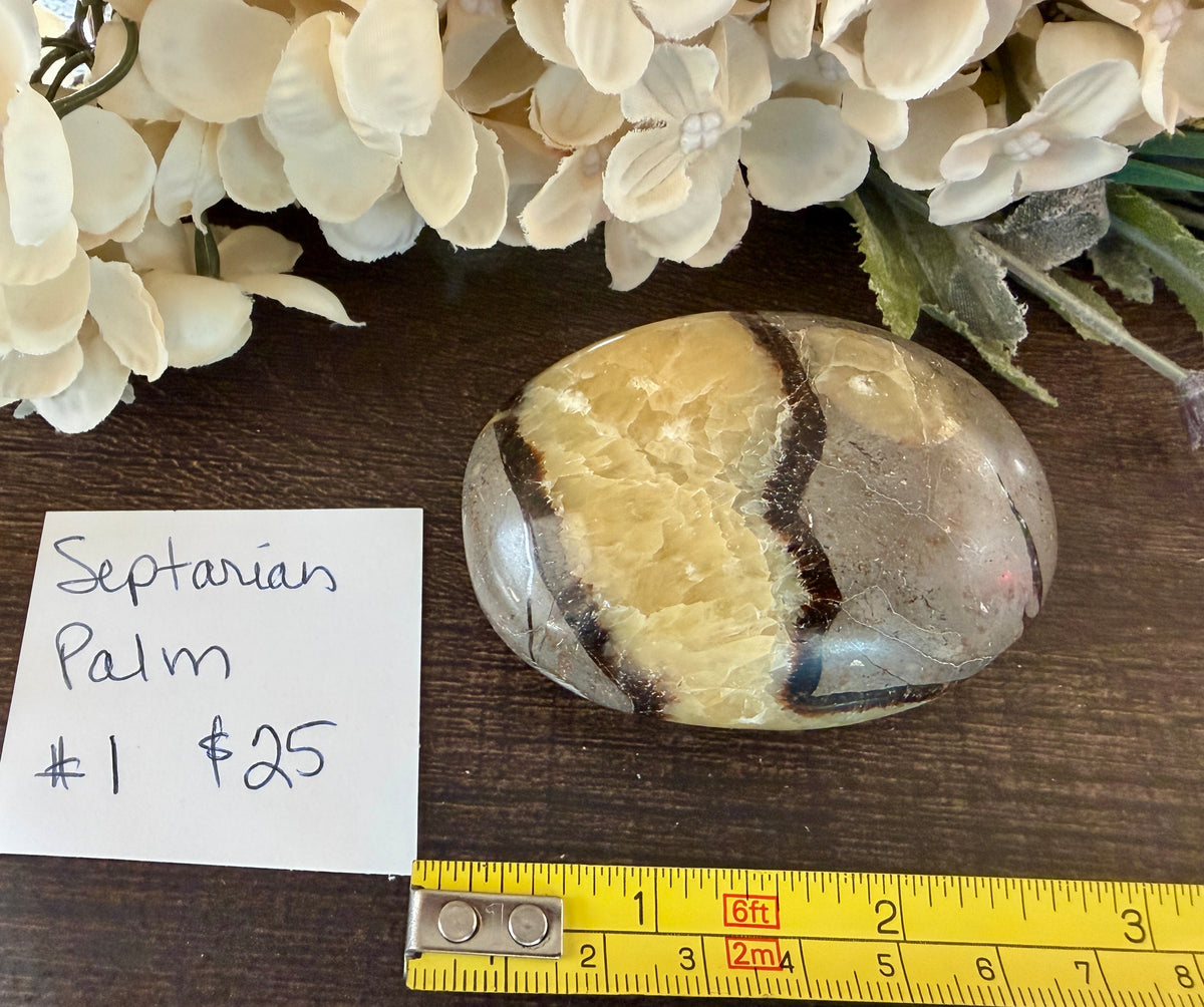 Septarian Palm #1