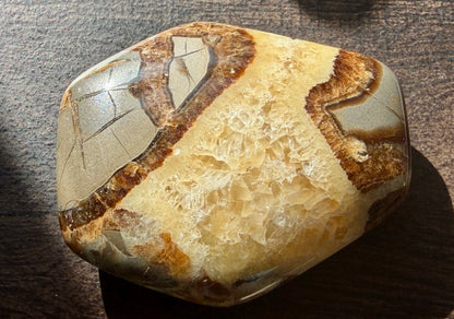 Septarian Palm #2