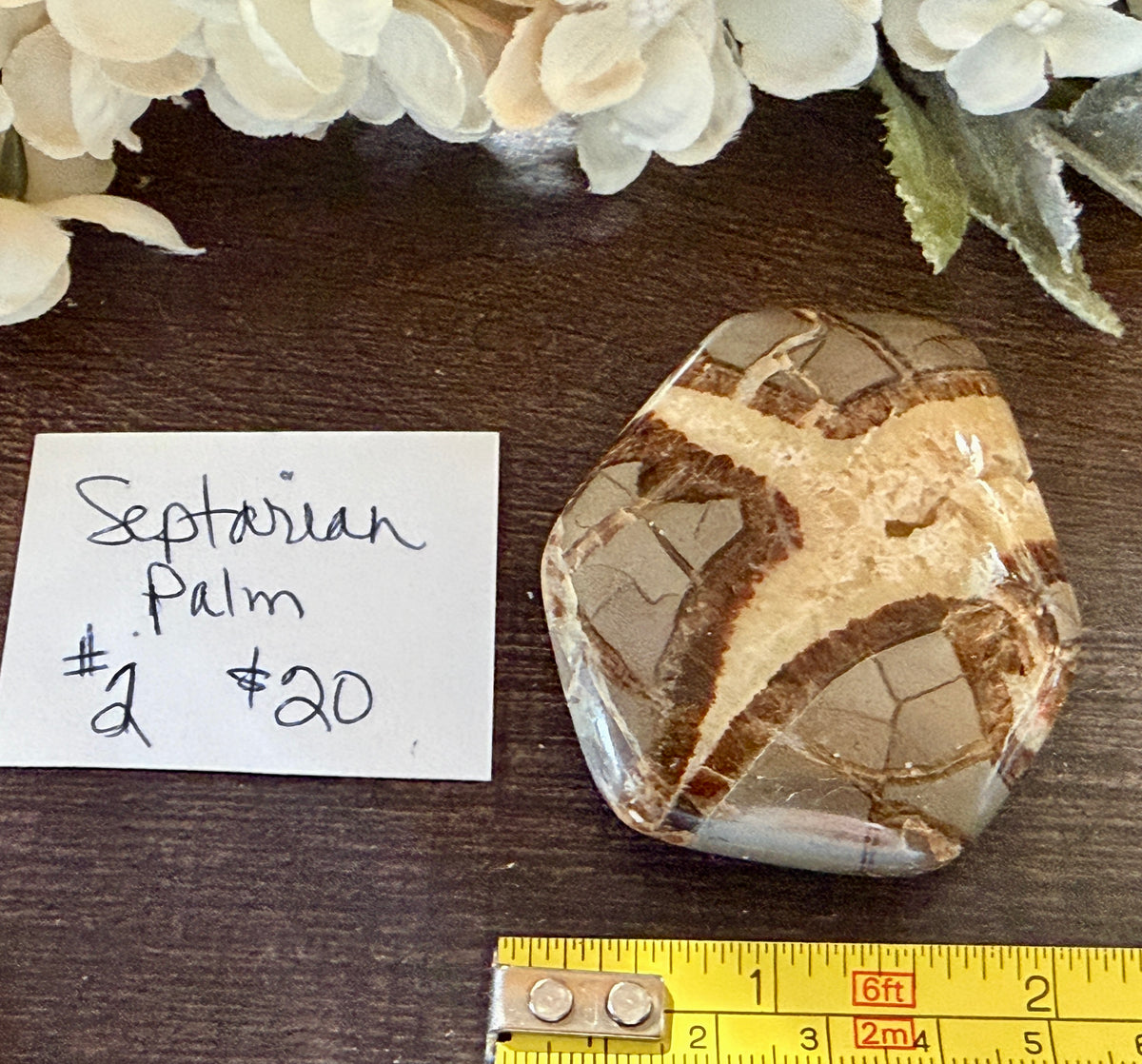Septarian Palm #2